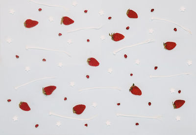 High angle view of red berries in water