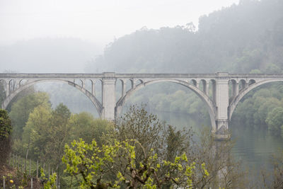 Arch bridge over river against trees