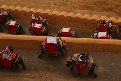 Elephant rally amber fort jaipur 