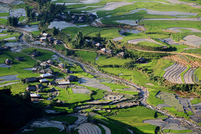 Scenic view of agricultural field