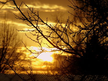 Bare trees against cloudy sky at sunset