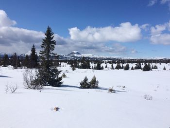 Scenic view of landscape against sky during winter