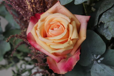 Close-up of rose bouquet