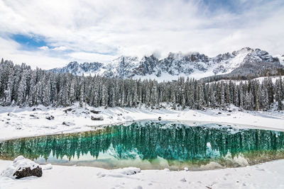 Scenic view of pond by trees during winter