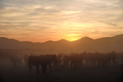 Scenic view of mountains against orange sky