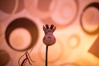 Close-up of an animal representation