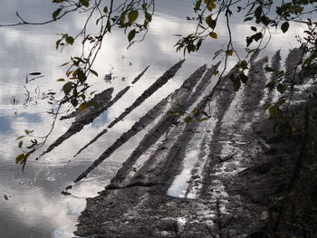 High angle view of trees by lake during winter