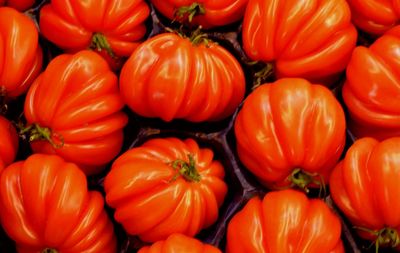 Full frame shot of pumpkins at market