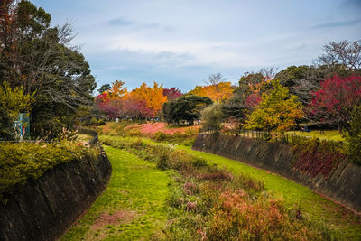 Scenic view of trees during autumn against sky