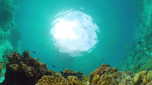 sea