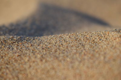 Full frame shot of pebbles on beach