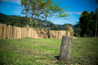 Wooden posts on field