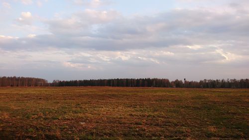 Scenic view of field against sky