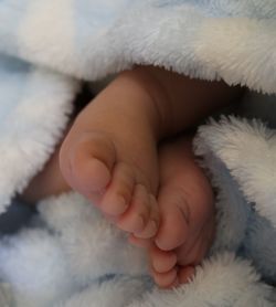 Low section of newborn baby feet wrapped in blanket