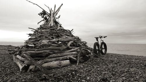 Driftwood on beach against sky