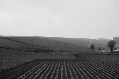 Scenic view of landscape