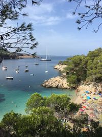 Sailboats moored on sea against sky