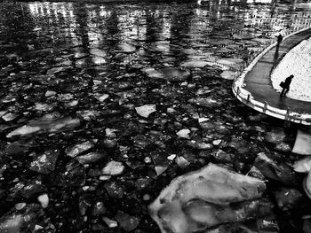 High angle view of leaf floating on water