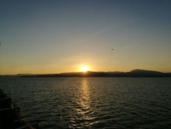 Silhouette bird flying over sea against sky during sunset