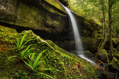 Close-up of waterfall