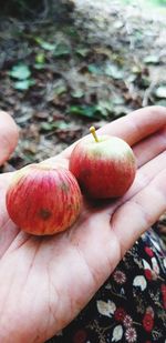 Close-up of hand holding apple