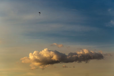 Low angle view of bird flying in sky