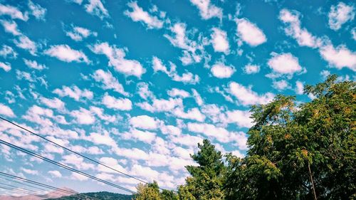 Low angle view of trees against cloudy sky