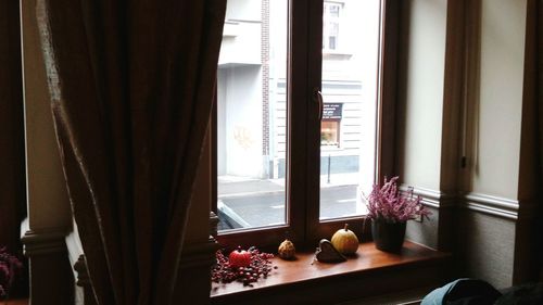 Flowers on window sill at home