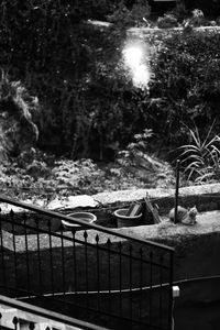 Built structure and trees seen through metal railing