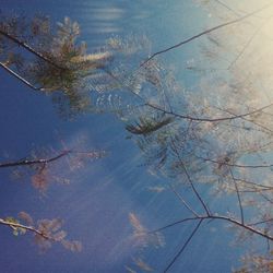 Scenic view of trees against sky