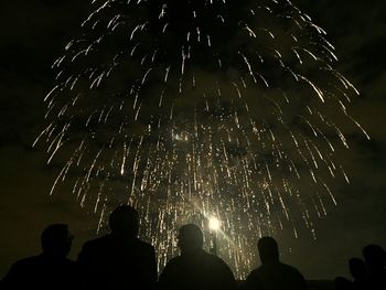 Firework display at night