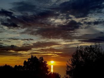 Low angle view of silhouette trees against sky during sunset