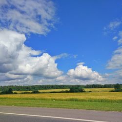 Scenic view of field against sky