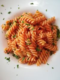 High angle view of chopped vegetables in plate