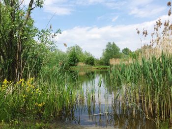 Scenic view of lake against sky