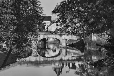 Arch bridge over river against trees