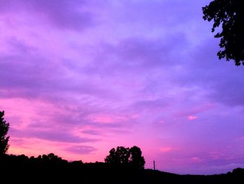 Low angle view of silhouette trees against sky