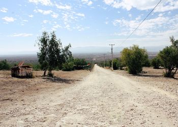 Road passing through forest