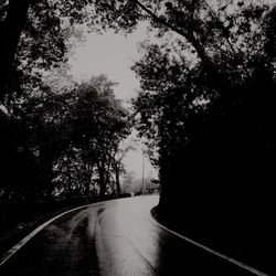 Empty road along trees