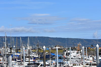 Sailboats moored in harbor