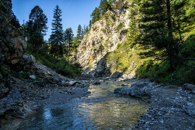 Stream flowing through rocks in forest