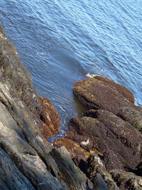 Close-up of rock in sea