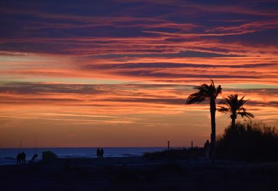 Silhouette palm trees on beach against sky during sunset