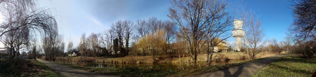 Bare trees on landscape against blue sky