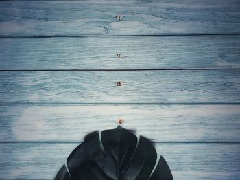 High angle view of people at sea shore