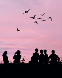 Silhouette of birds flying against sky during sunset