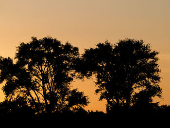 Low angle view of silhouette trees against clear sky