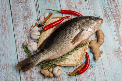 High angle view of fish on wood