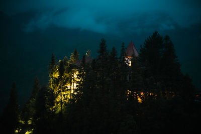 Illuminated trees and buildings against sky at night