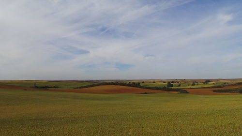 Scenic view of field against cloudy sky